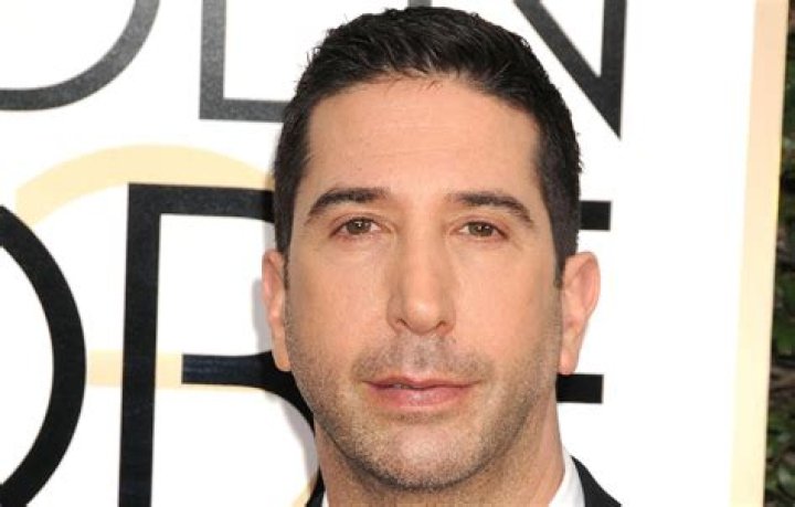 Unraveling David Schwimmer's Net Worth: A Look Into The Life Of Ross Geller