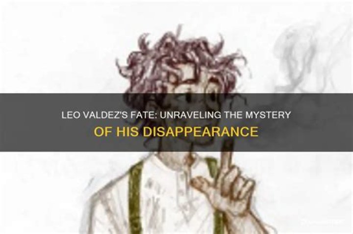 Unraveling The Mystery Of His Disappearance