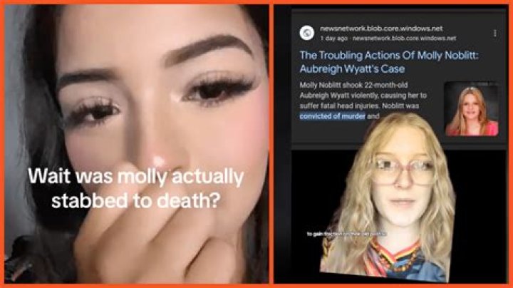 Unraveling The Story Behind Molly Aubreigh's Bully
