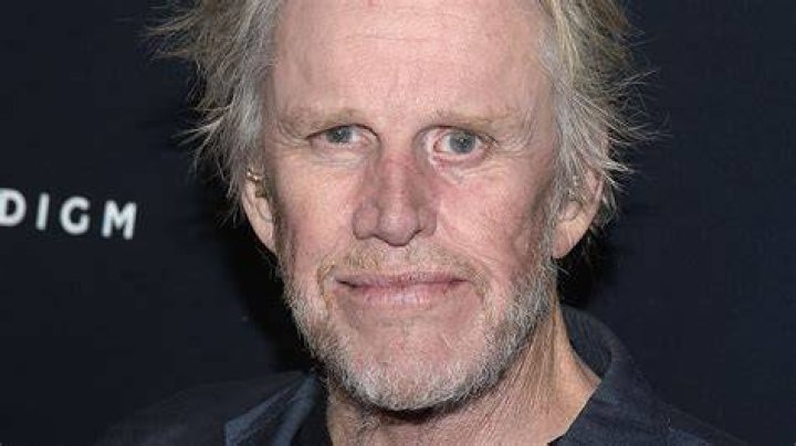 Unravelling Gary Busey's Health Enigma