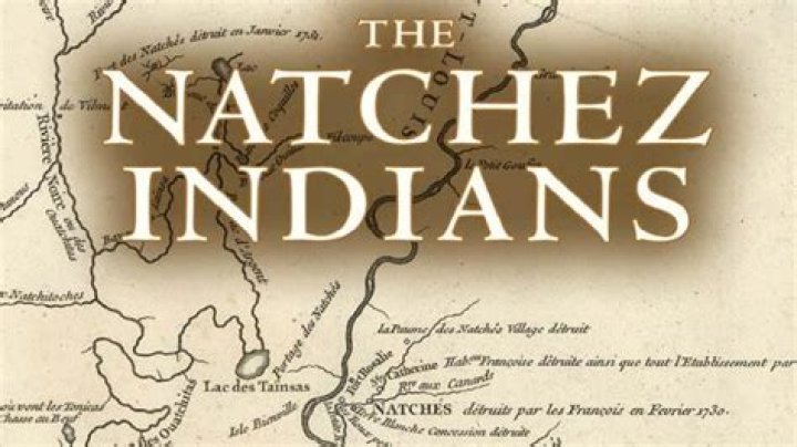 Unveil The Secrets Of The Natchez Democrats: Exploring History And Impact