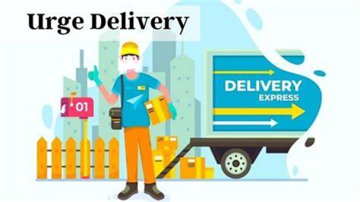 Unveil the Secrets of Urge Delivery in SHEIN: A Comprehensive Guide