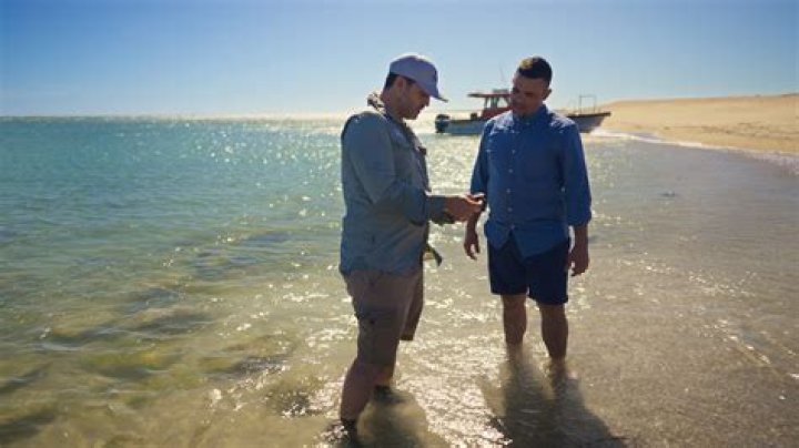 Unveiling Brian Quinn's Heritage: Discoveries And Insights
