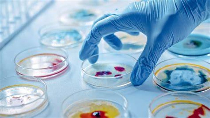 Unveiling Laura Kariuki's Groundbreaking Discoveries In Infectious Disease Diagnostics