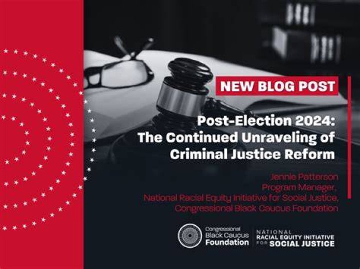Unveiling Nafeesah Terry's Transformative Impact On Criminal Justice Reform