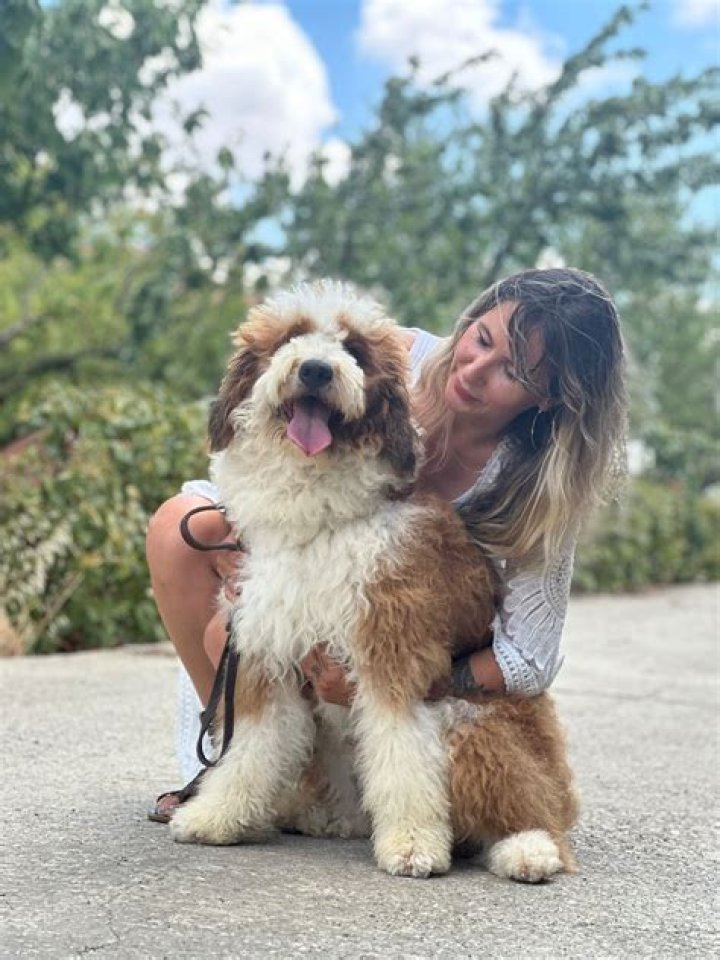 Unveiling Neva Portman: A Heartfelt Adventure with a Loyal Companion