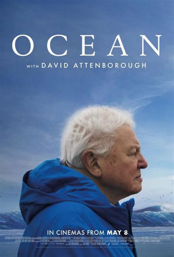Unveiling The Age Of Ocean Ramsey: Discoveries And Insights