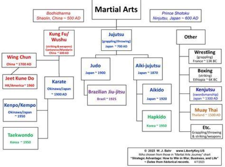 Unveiling The Fortune Of A Martial Arts Icon