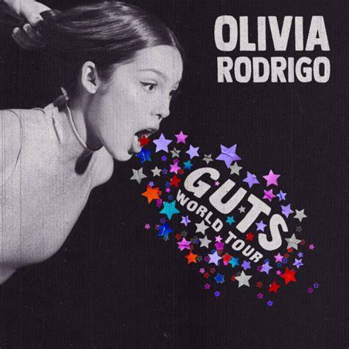 Unveiling The Identity Of Olivia Rodrigo's Parents