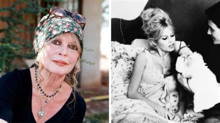 Unveiling The Impactful Legacy Of Nicolas Charrier, Brigitte Bardot's Son