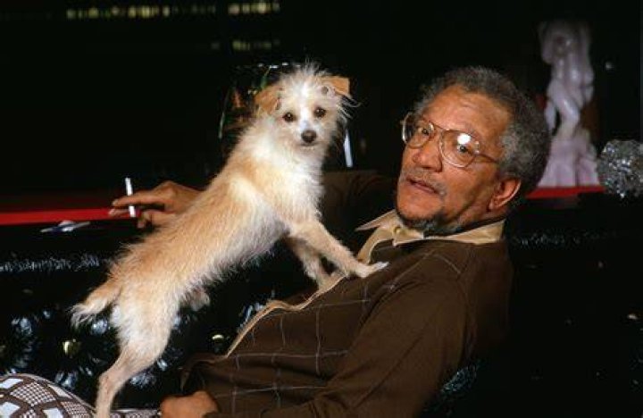 Unveiling the Legacy of Betty Jean Harris Redd Foxx: Discoveries and Insights