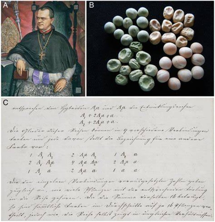 Unveiling The Secrets Of Culos Grandes: Discoveries And Insights