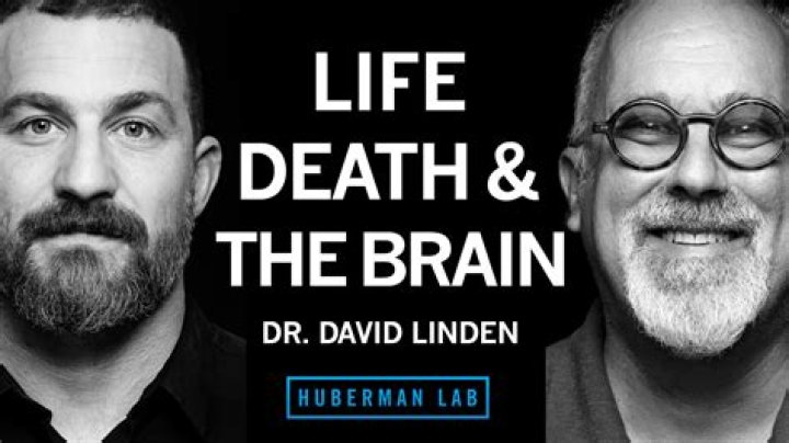 Unveiling The Secrets Of Dr. Andrew Huberman's Wife!