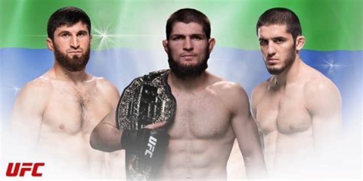 Unveiling the Secrets of the UFC Beard: Discoveries and Insights