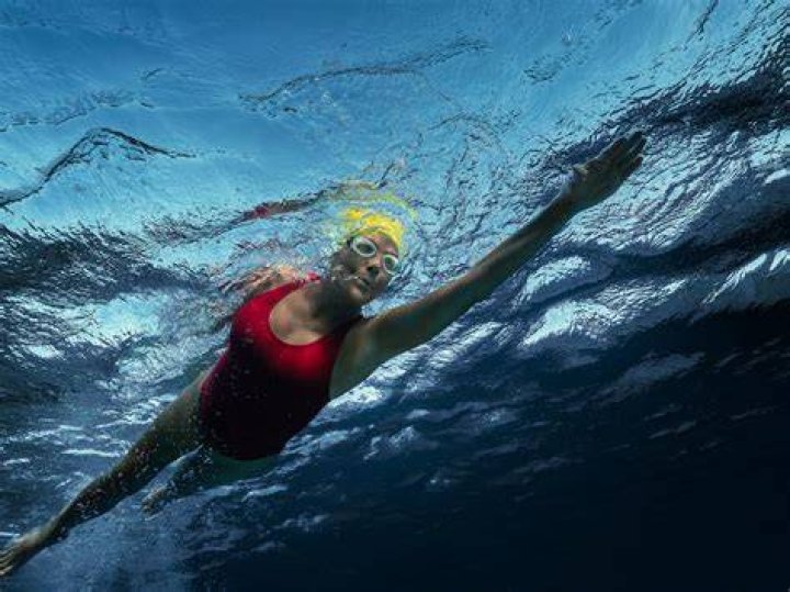 Unveiling The Story Behind Diana Nyad's Unsung Hero