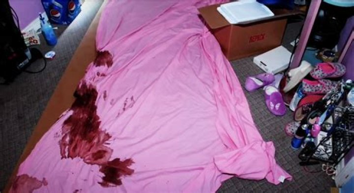Unveiling the Truth: The Shocking Crime Scene Photos of Dee Dee Blanchard Leaked