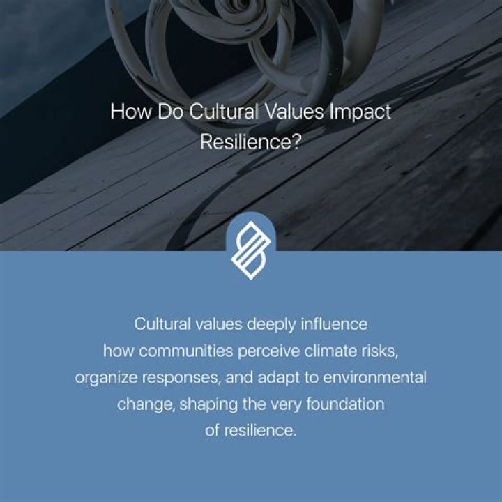 Values, Impact, And Untold Insights