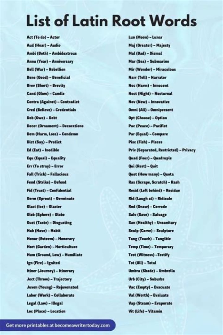 Vega Unveiled: Exploring the Latin Roots of a Celestial Name