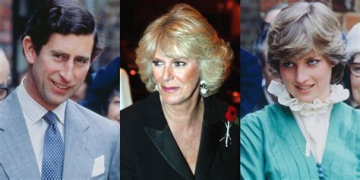 Was Diana Friends with Camilla? Exploring the Royal Relationships