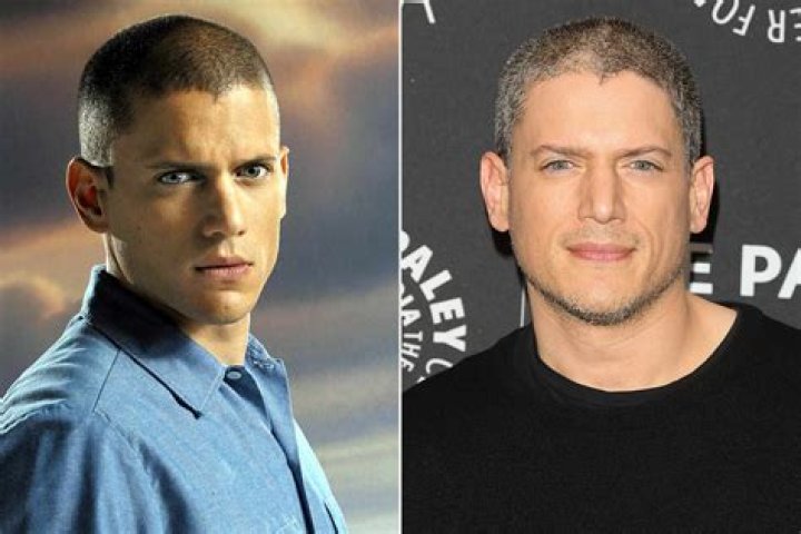 Wentworth Miller's Spouse: Unraveling the Life and Love of the Prison Break Star