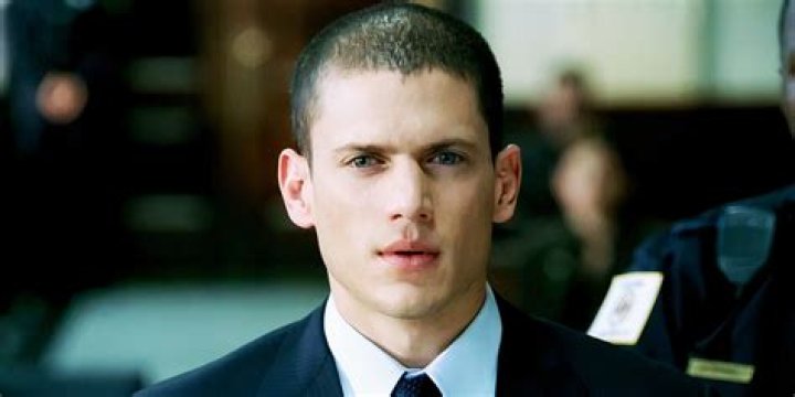 Wentworth Miller Net Worth: What He's Earned From Screen to Script