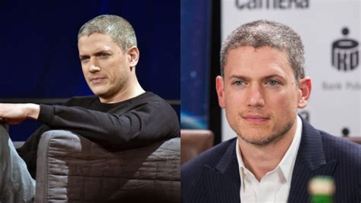 Wentworth Miller Partner: Unraveling the Private Life of the Star
