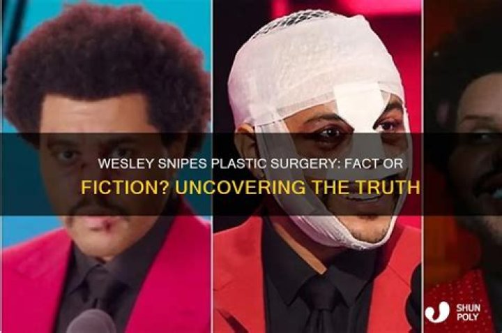 Wesley Snipes' Illness: Uncovering The Untold Truth