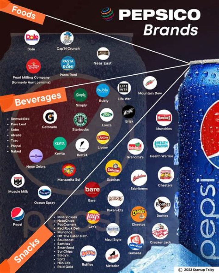 What Brands Does Anna Paul Own? Unpacking the Influencer's Ventures