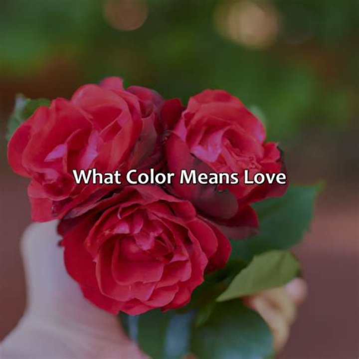 What Color Means True Love? Exploring the Hues of Deep Affection