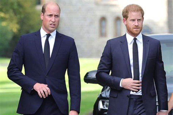 What Does Prince Harry Do All Day Long? Unpacking a Royal Life and the Grammar Behind It