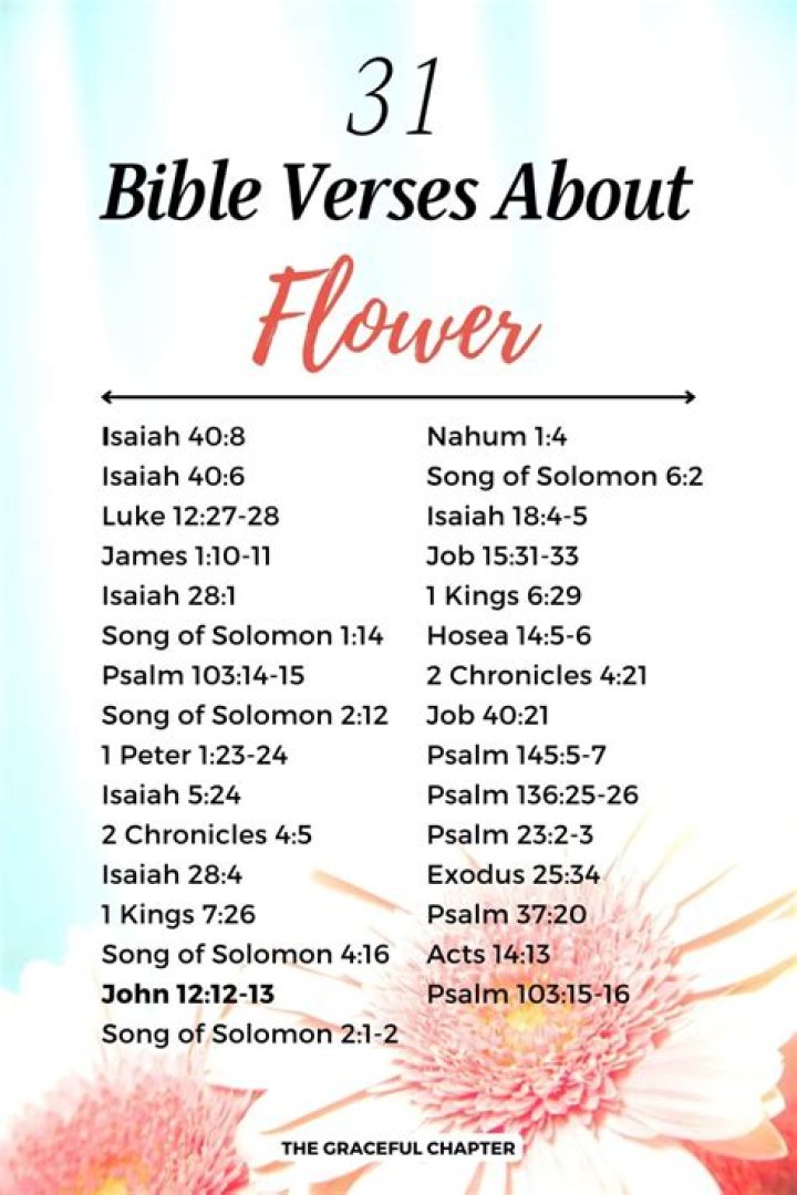 What Does the Bible Say About Violets? Uncovering Nature's Quiet Beauty in Scripture