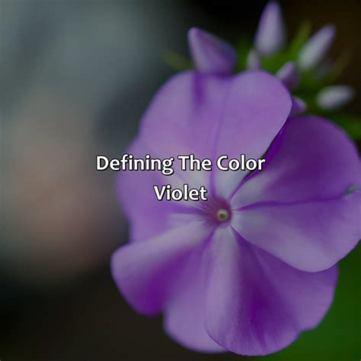 What Does Violet Describe? Unpacking the Rich Meanings of This Captivating Color