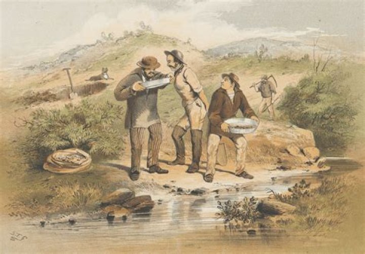 What Happened to the Dakota Boys? Unraveling Their Gold Rush Journey