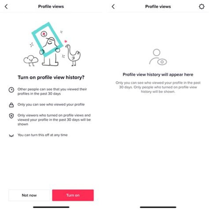 What Happens When You Turn Off TikTok Profile Views?