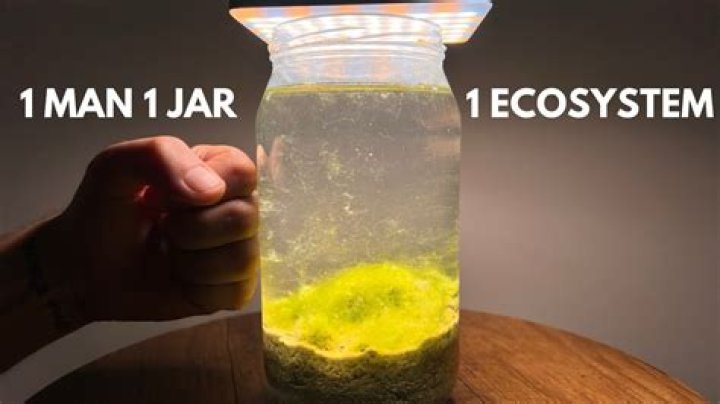 What is One Man One Jar: Unpacking an Internet Phenomenon