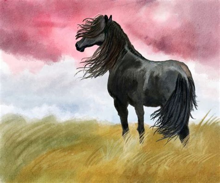 What is Pooka's Real Name? A Look at This Irish Folklore Creature