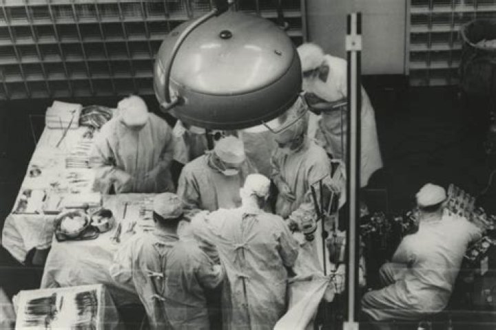 What is the First Organ to Shut Down When Dying? Understanding the Body's Natural Process