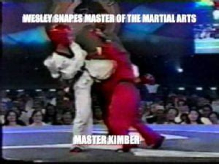 Where Did Wesley Snipes Learn Martial Arts? Unpacking His Real Skills
