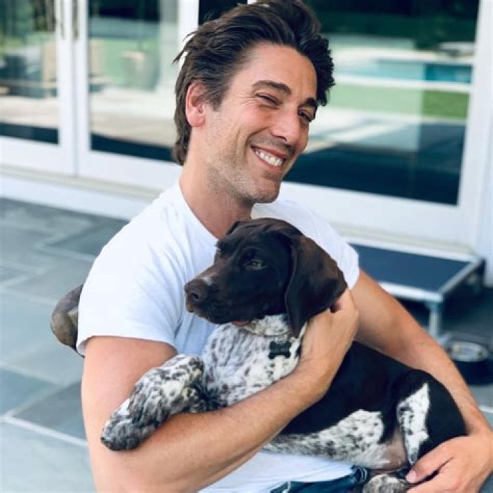 Where Does the Muir Family Live? A Deep Dive into David Muir's Homes and Family Roots