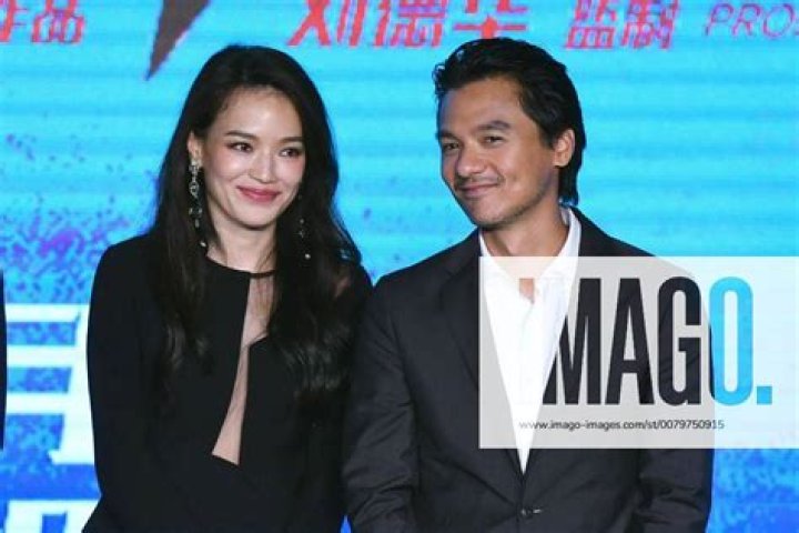 Who is Shu Qi's Husband? Unveiling a Beloved Star's Enduring Love Story