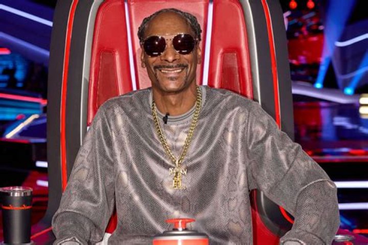 Who is Snoop Dogg's Lawyer? Unpacking the Legal Team Behind a Music Icon