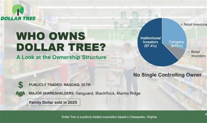 Who Owns Dollar Tree? Unpacking the Discount Retailer's Ownership Structure
