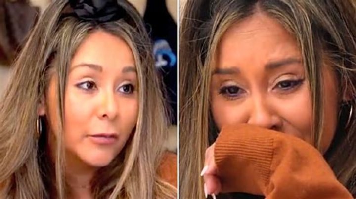 Why Did Snooki's Mom Give Her Up for Adoption? The Emotional Story Revealed