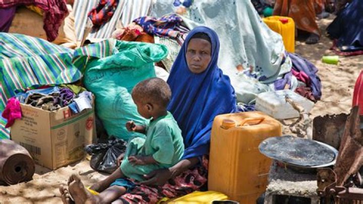 Why is Somalia "So Rich"? Unpacking the Paradox of Potential and Poverty