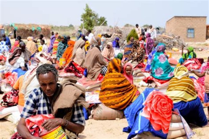 Why Is There No Food in Somalia? Unpacking a Decades-Long Crisis