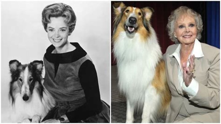Why Was the Girl Called Lassie in Porky's? Unpacking Kim Cattrall's Iconic Role
