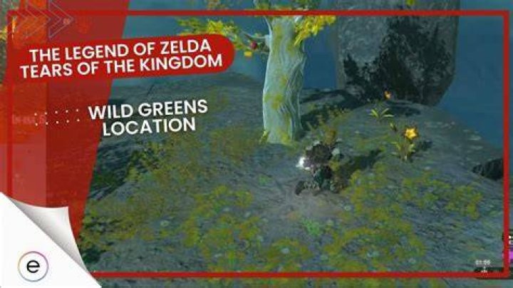 Wild Greens Location Tears of the Kingdom, Where to Find Them?